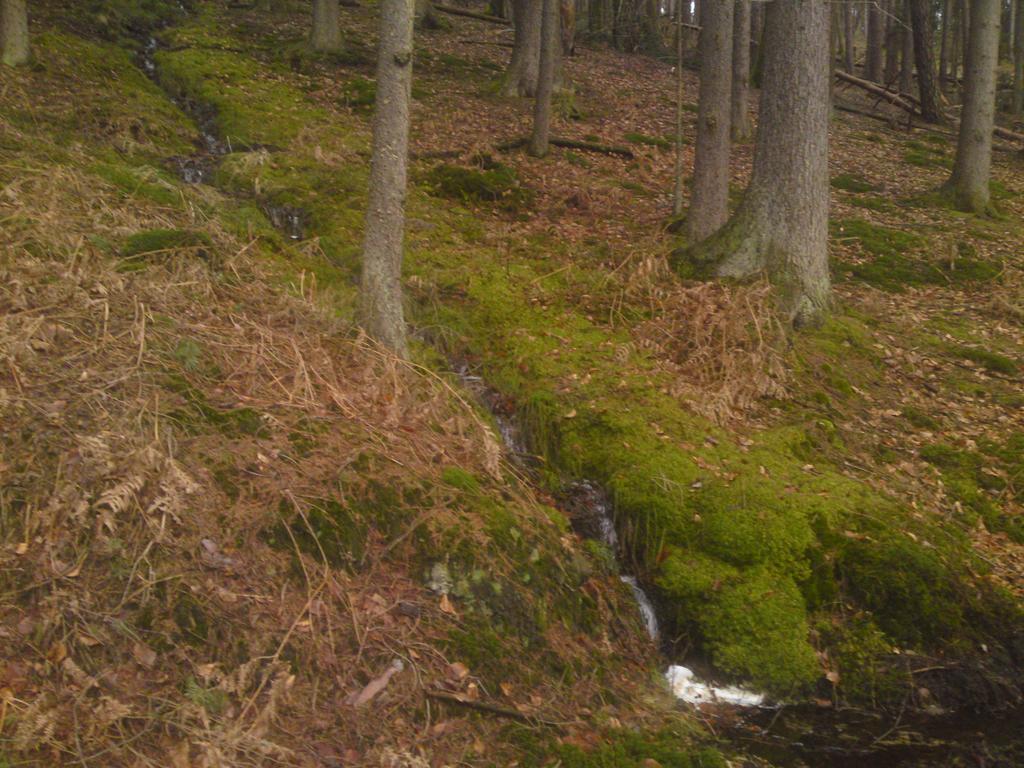 Landgasthof Waldfrieden Hotell Wildensee Exteriör bild
