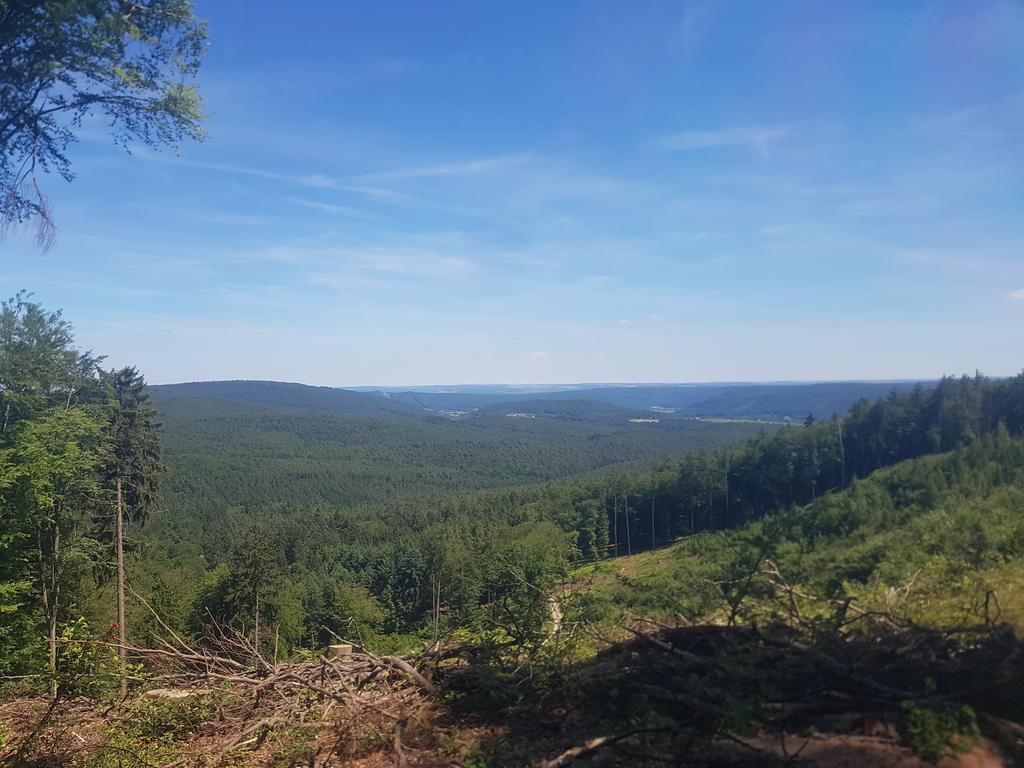 Landgasthof Waldfrieden Hotell Wildensee Exteriör bild